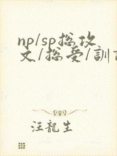 np/sp总攻文/总受/训诫文