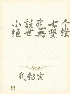 小说我七个姐姐绝世无双橙年岁月