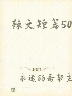 辣文短篇500