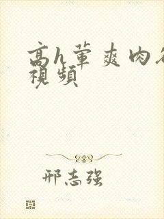 高h荤爽肉欲文视频