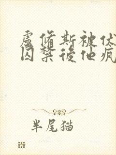 卢修斯被伏地魔囚禁后他疯了小说封面