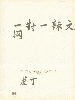 一对一辣文鲜文网封面