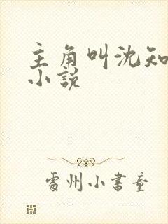 主角叫沈知秋的小说