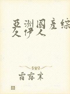 亚洲国产综合久久伊人