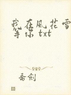 我在风花雪月里等你 txt封面