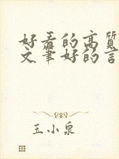 好看的高质量的文笔好的言情