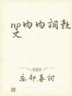 np肉肉调教辣文