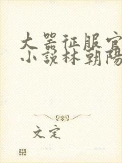 大器征服官场的小说林朝阳