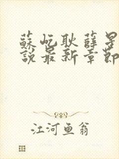 苏屹耿薛星眠小说最新章节更新内容封面