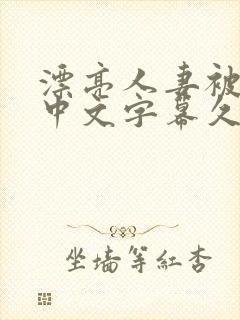 漂亮人妻被中出中文字幕久久