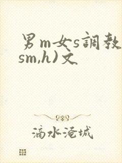 男m女s调教(sm,h)文