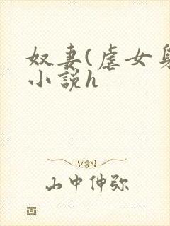 奴妻(虐女身)小说h封面