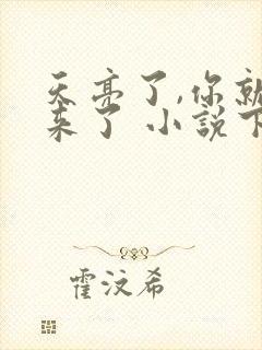 天亮了,你就回来了 小说下载txt封面