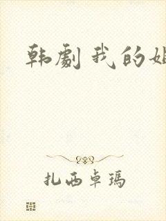 韩剧 我的姐姐