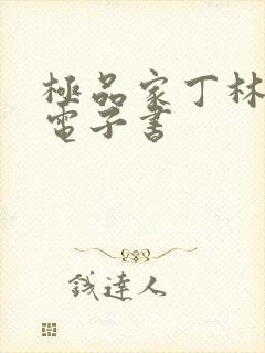 极品家丁林晚荣电子书