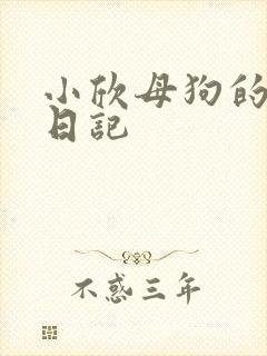 小欣母狗的调教日记封面