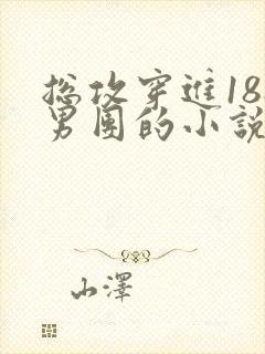 总攻穿进188男团的小说