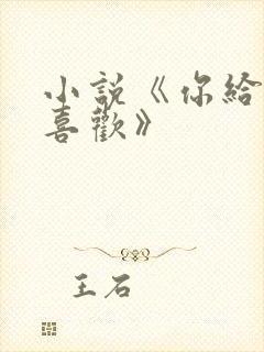 小说《你给我的喜欢》