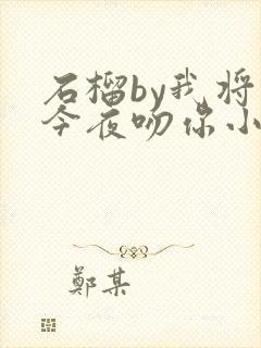 石榴by我将在今夜吻你小说免费阅读封面