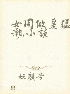 女同做爰猛烈高潮,小说