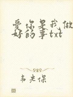 爱你是我做过最好的事txt