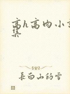 高h高肉小说合集封面