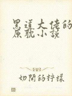 黑道大佬的养子原耽小说封面