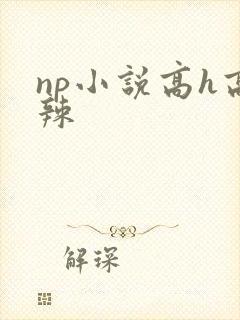 np小说高h高辣封面