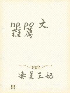 np po 文推荐