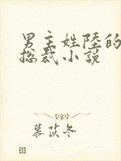 男主姓陆的所有总裁小说