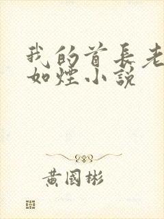 我的首长老婆柳如烟小说