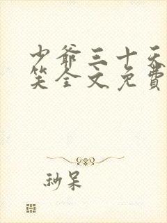 少爷三十天后会笑全文免费阅读