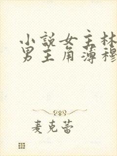 小说女主林恩恩男主角薄穆寒的小说封面