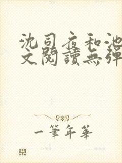 沈司夜和池茵全文阅读无弹窗笔趣阁封面