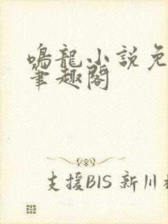 鸣龙小说免顶点笔趣阁