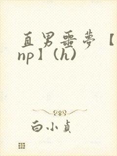 直男噩梦【双性np】(h)
