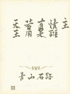 天若有情主演女主角是谁封面