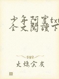 少年阿宾txt全文阅读下载