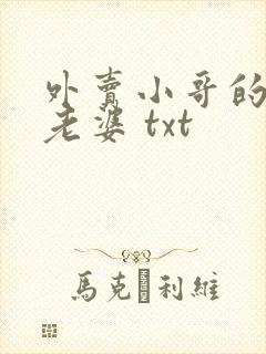 外卖小哥的总裁老婆 txt封面