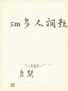 sm多人调教文封面