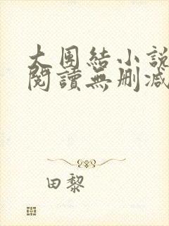 大团结小说在线阅读无删减