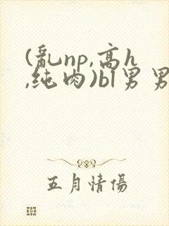 (乱np,高h,纯肉)bl男男封面