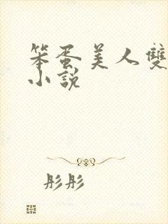 笨蛋美人双男主小说封面