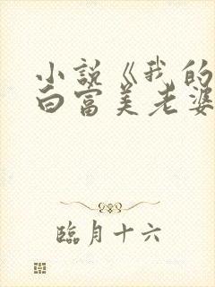 小说《我的总裁白富美老婆》封面