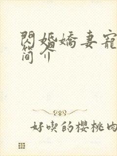 闪婚娇妻宠上天简介