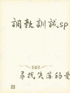 调教训诫sp文
