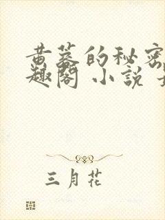 黄蓉的秘密 笔趣阁 小说 最新章节在线阅读