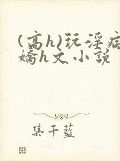 (高h)玩淫病娇h文小说