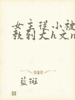 女主从小被肉调教到大h文np