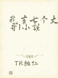 我有七个大佬哥哥l小说封面